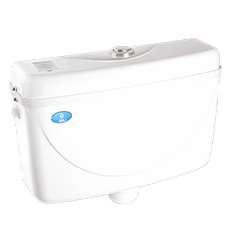 FLUSHING CISTERN & SEAT COVER